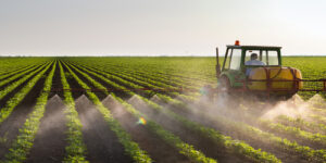 Tractor spraying water on a crop field